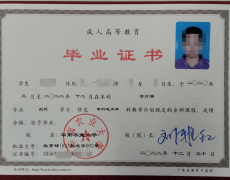 任教师2626人